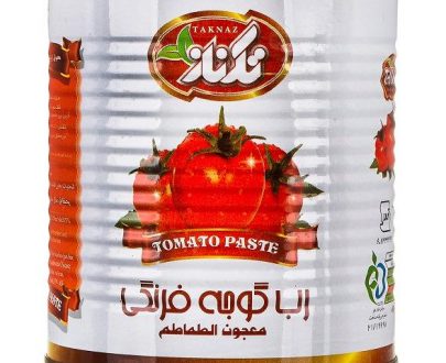 رب گوجه فرنگی تکناز 800 گرمی